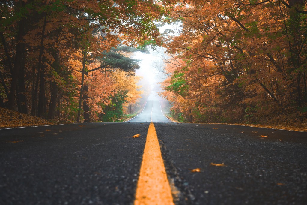 Fall road