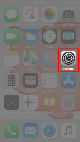 safari-preferences